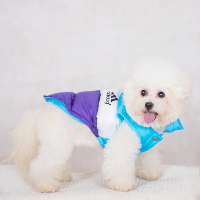 Dog Jacket Designer Fashion Pet Coat